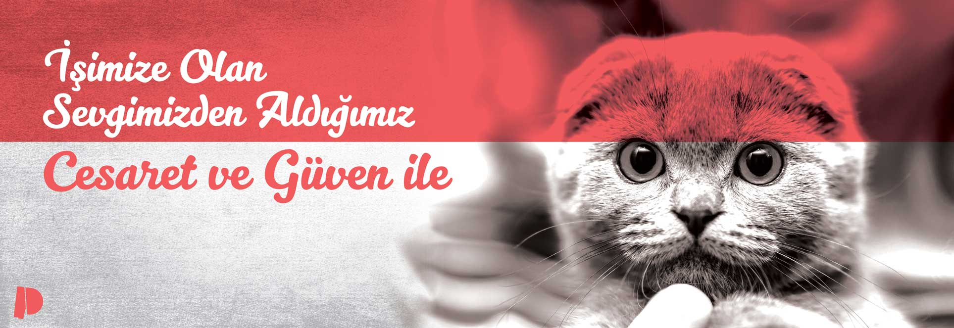 Petbo - Bizi Tanıyın