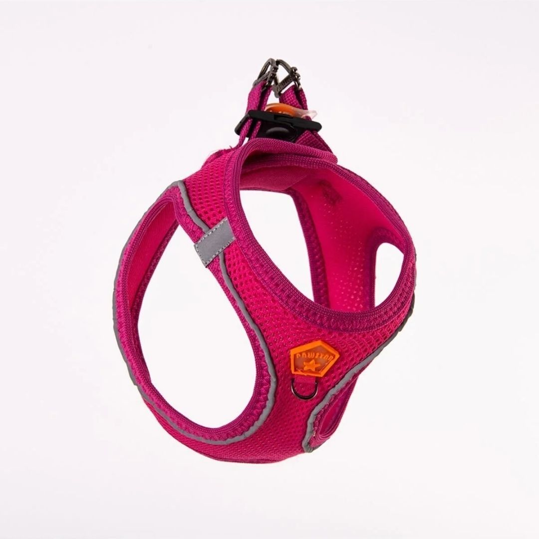 Pawstar Göğüs Tasması Air Mesh S - Görsel 2
