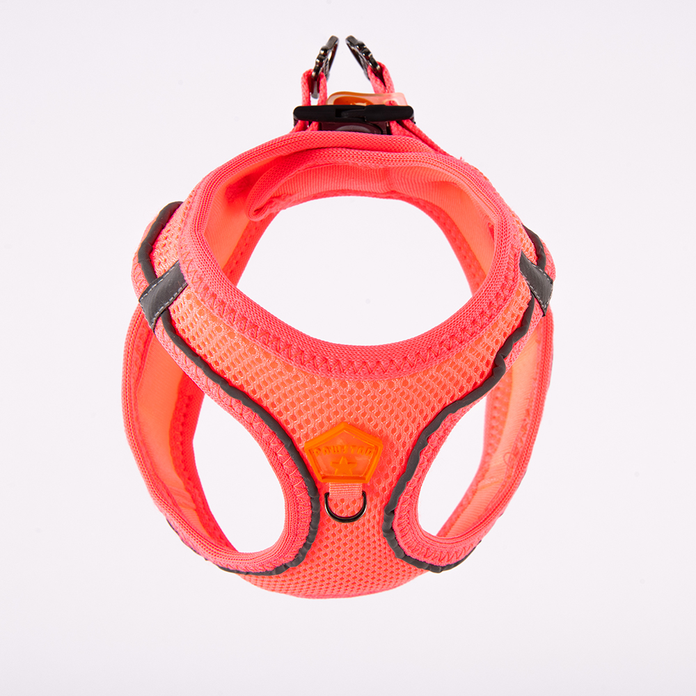 Pawstar Gögüs Tasması Air Mesh 2XS - Görsel 2
